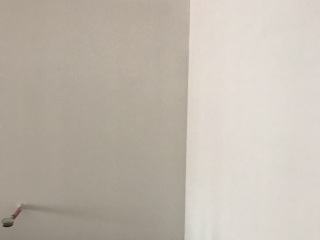 墙、顶面乳胶漆