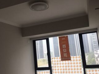 墙、顶面乳胶漆