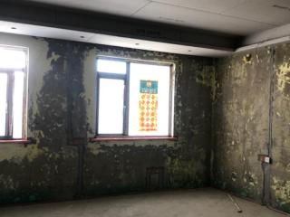 墙，顶面基层修补、铲墙皮