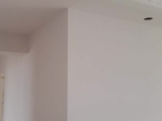 墙、顶面乳胶漆