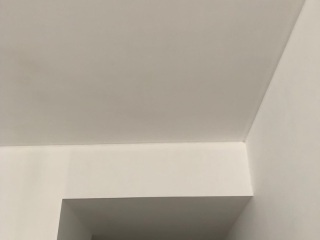 墙、顶面腻子批嵌