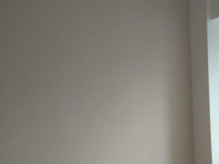 墙、顶面乳胶漆