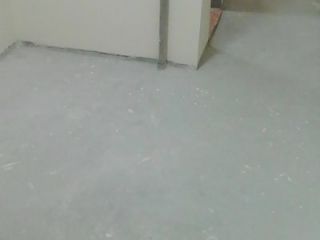 墙、顶面乳胶漆