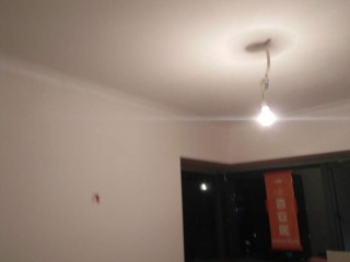 墙、顶面腻子批嵌