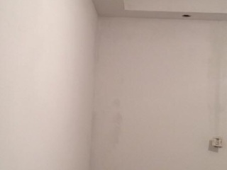 墙、顶面腻子批嵌