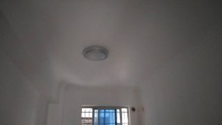 墙、顶面乳胶漆