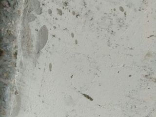 水、电管开槽施工