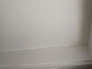 墙、顶面乳胶漆