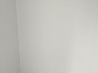 墙、顶面乳胶漆