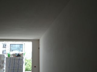 墙、顶面乳胶漆