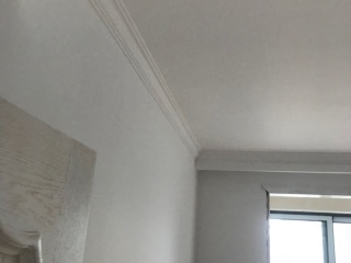 墙、顶面乳胶漆