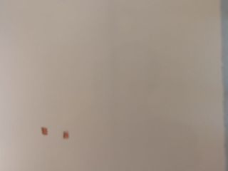 墙、顶面乳胶漆