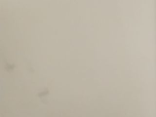 墙、顶面腻子批嵌