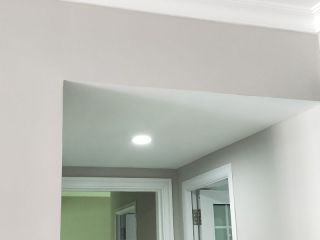 墙、顶面乳胶漆
