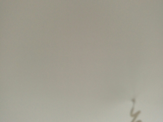 墙、顶面乳胶漆