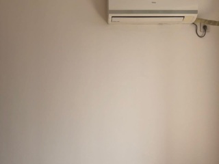 墙、顶面乳胶漆