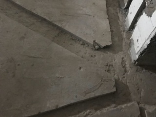 日常巡检
