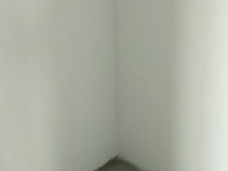 墙、顶面腻子批嵌