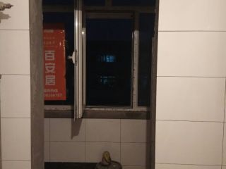 日常巡检