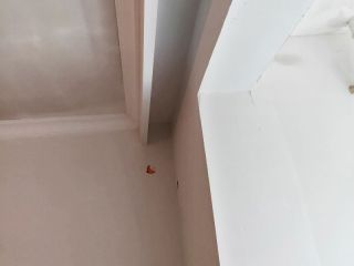 墙、顶面腻子批嵌