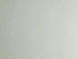 墙、顶面乳胶漆