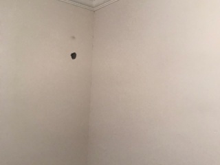 墙、顶面腻子批嵌