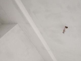 墙、顶面腻子批嵌
