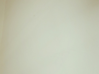 墙、顶面腻子批嵌