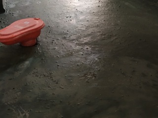 日常巡检