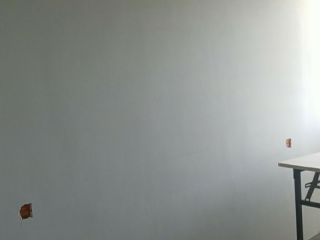 墙、顶面乳胶漆