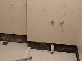 日常巡检