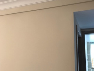 墙、顶面腻子批嵌