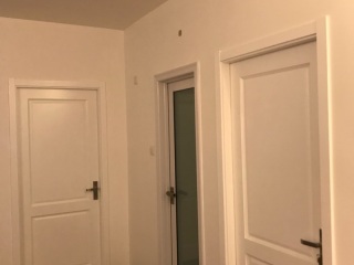 成品门及墙纸铺贴