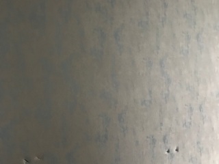 成品门及墙纸铺贴