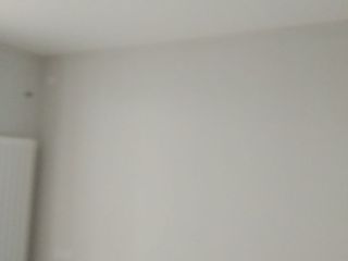 墙、顶面乳胶漆
