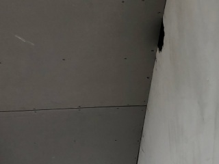 泥木工程 验收
