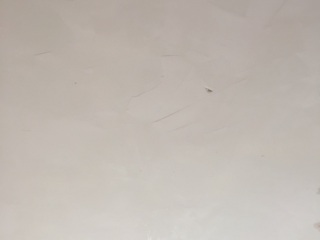 墙、顶面腻子批嵌