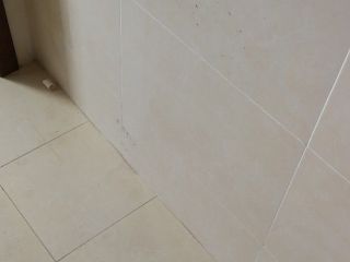 墙、顶面腻子批嵌