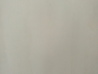 墙、顶面乳胶漆