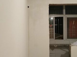 墙、顶面腻子批嵌