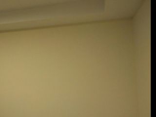 墙、顶面乳胶漆及墙纸铺贴