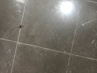 泥木工程 验收