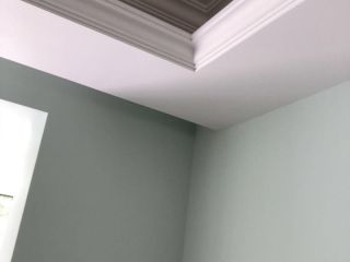 墙、顶面乳胶漆