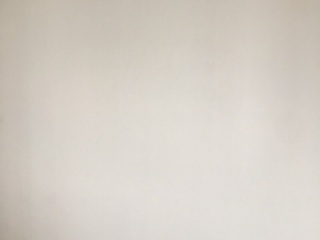 墙、顶面乳胶漆