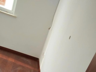 油漆工程 验收