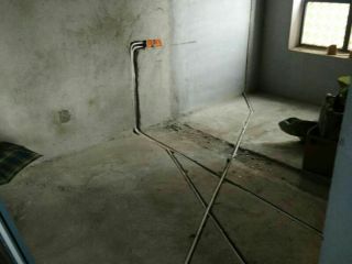 日常巡检