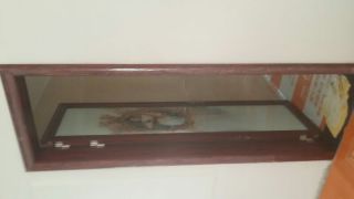 成品门及墙纸铺贴