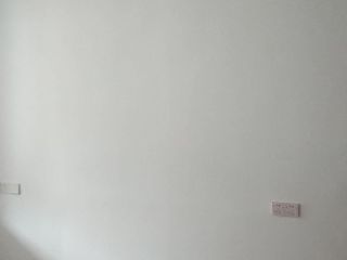 墙、顶面乳胶漆