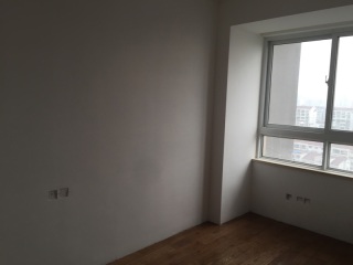 墙、顶面乳胶漆