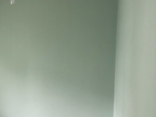墙、顶面乳胶漆